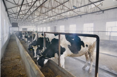 黑龍江齊齊哈爾富?？h光明乳業(yè) 一拖三加一 恒壓供水設(shè)備